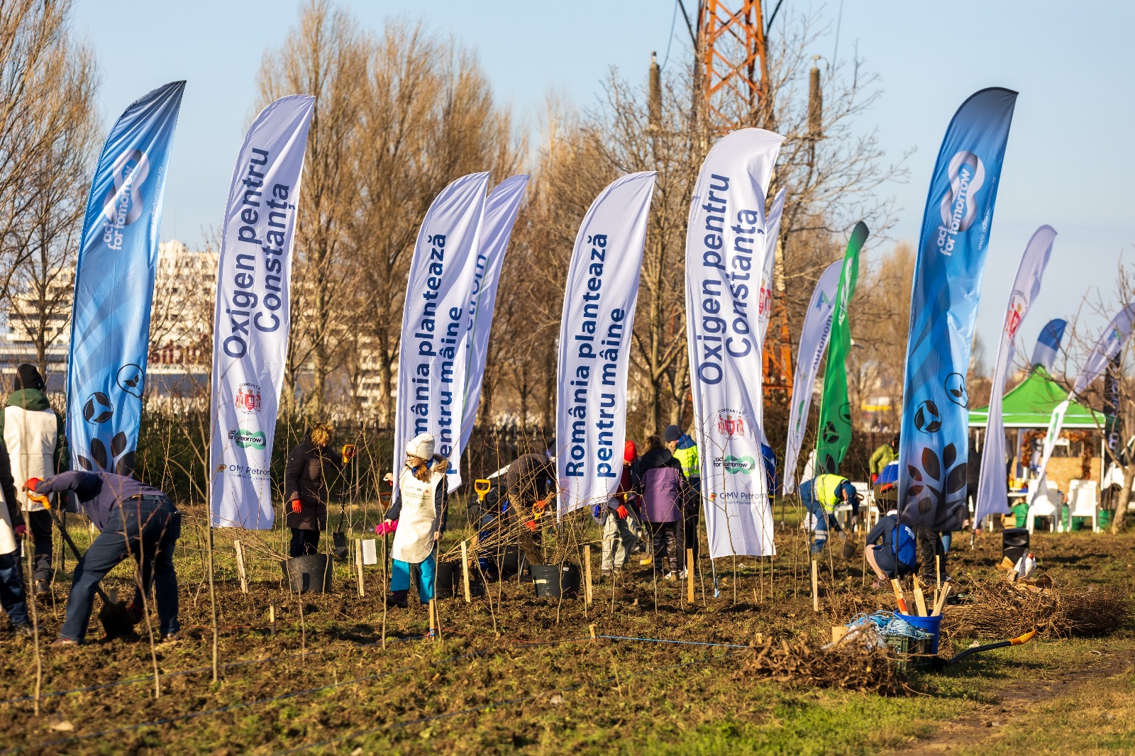 Cea mai mare pădure urbană din Constanța, plantată cu voluntari, a fost finalizată și număra 21.000 de arbori si arbuști