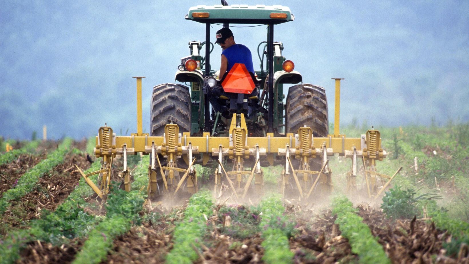 Până la 30 septembrie fermierii sunt aşteptaţi la APIA să semneze cererile de plată