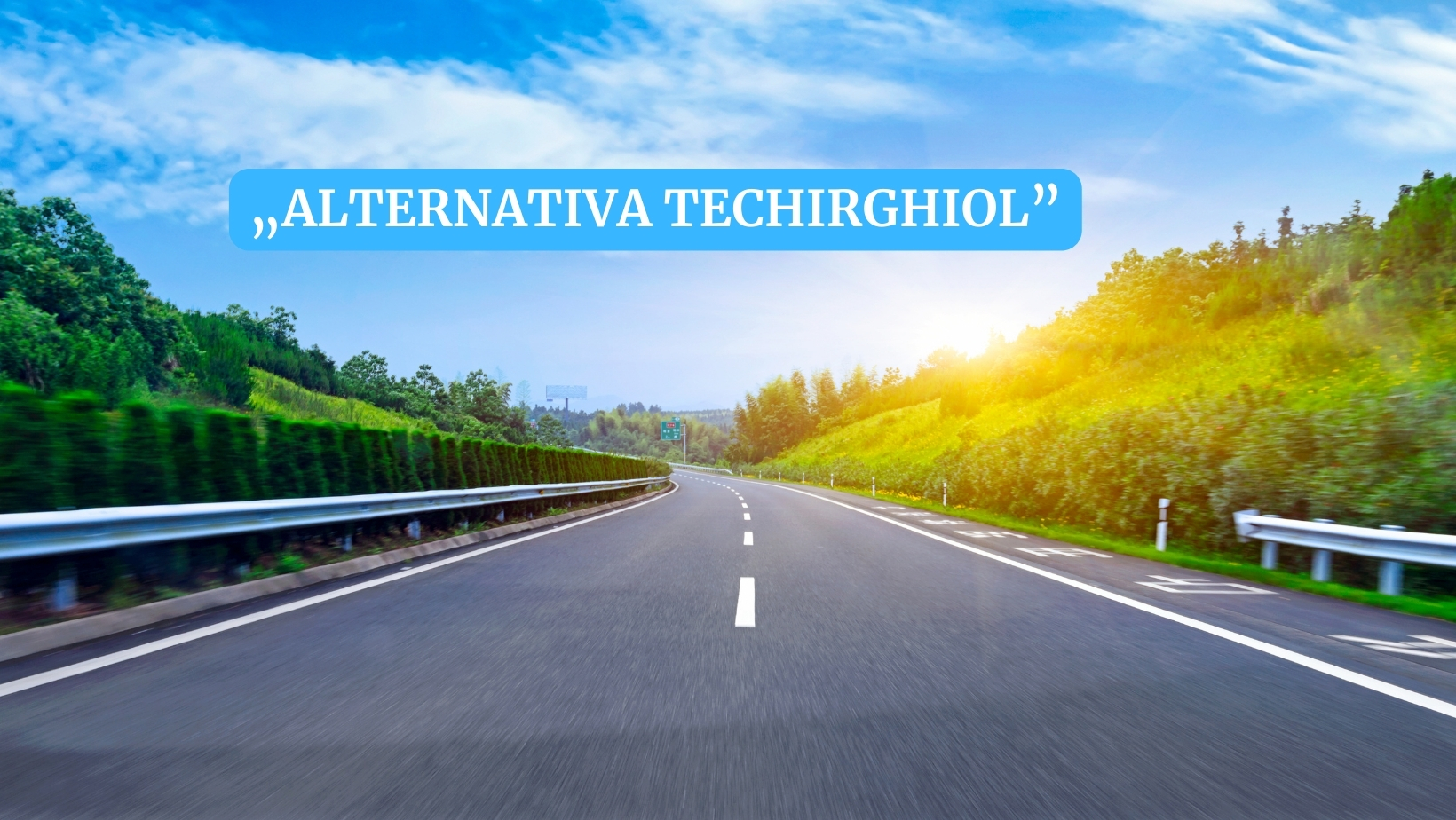 „Alternativa Techirghiol”, pe masa Guvernului